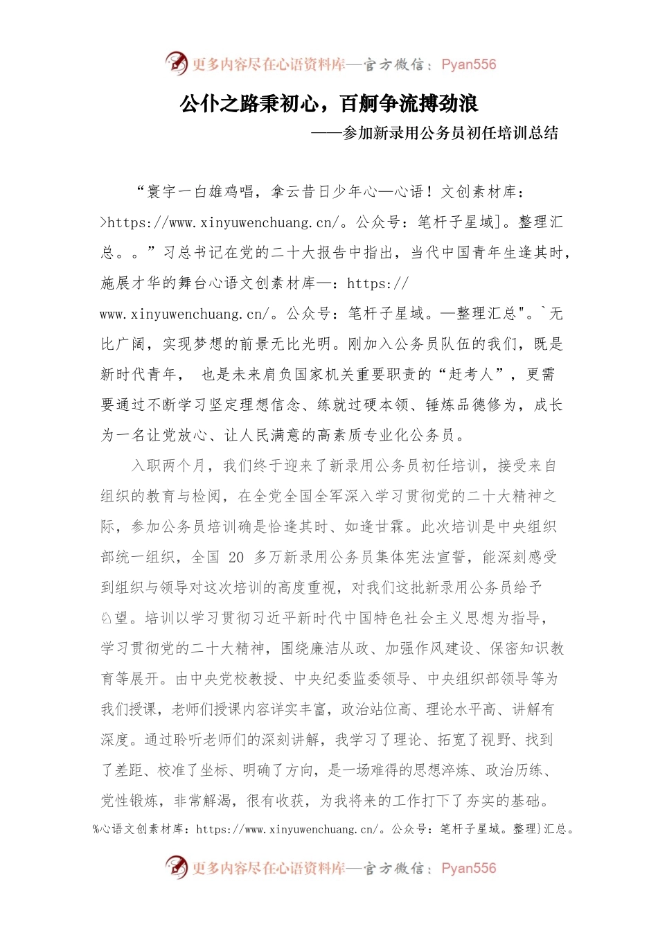 公仆之路秉初心，百舸争流搏劲浪——参加新录用公务员初任培训总结.docx_第1页