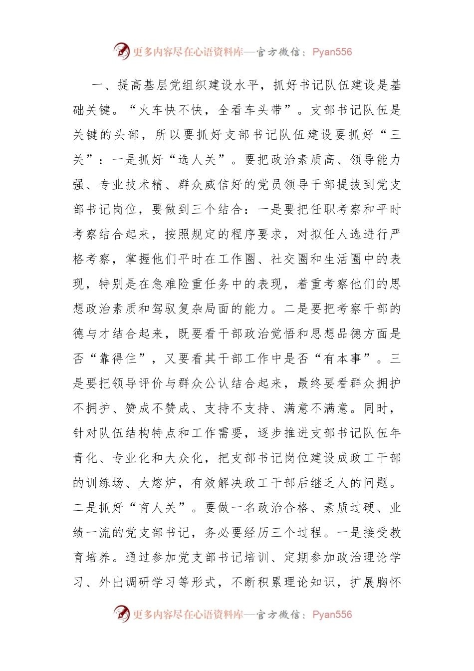 党课讲稿：夯实基础 把握重点 切实提升基层党组织建设质效.docx_第2页