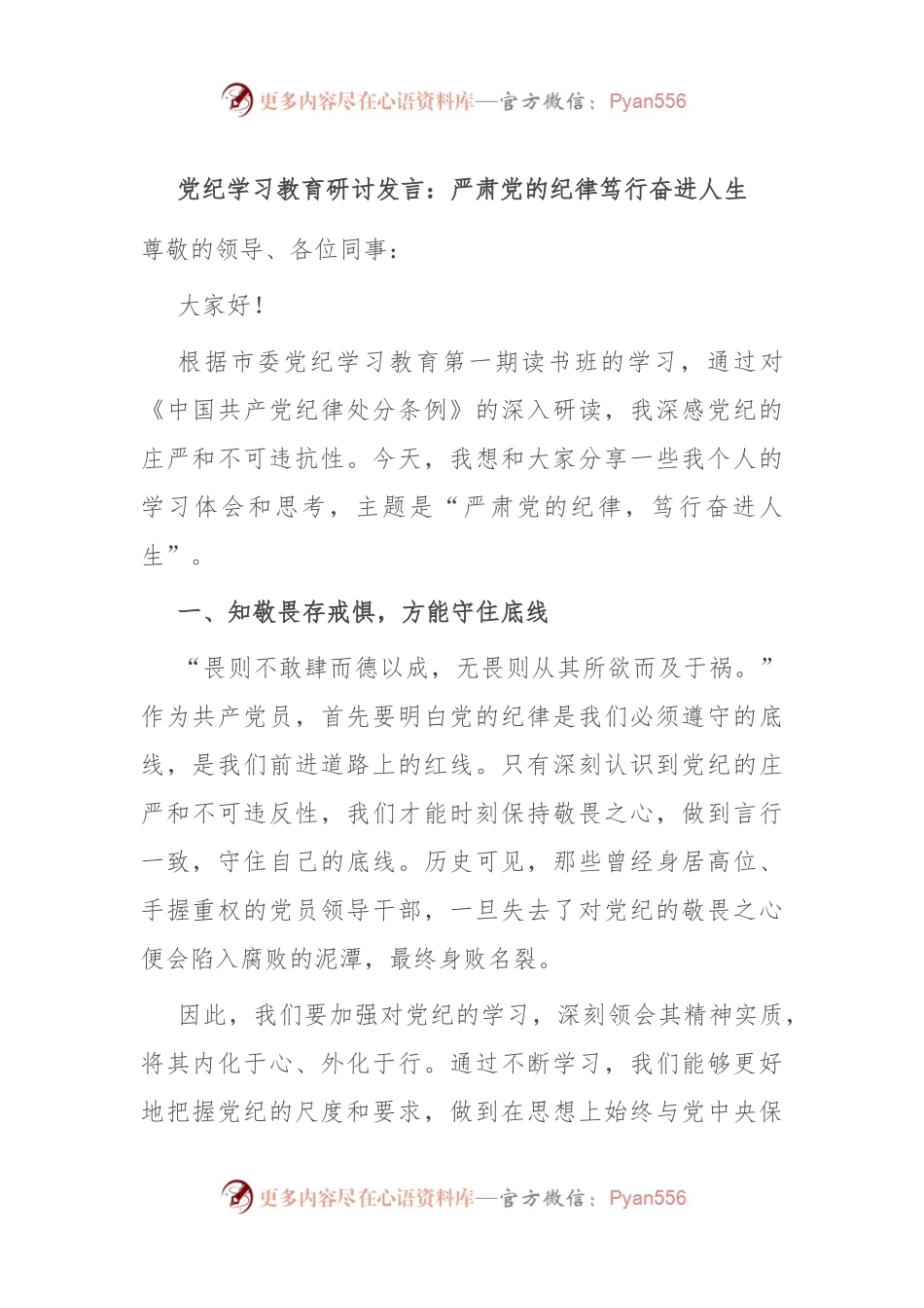 党纪学习教育研讨发言：严肃党的纪律 笃行奋进人生.docx_第1页