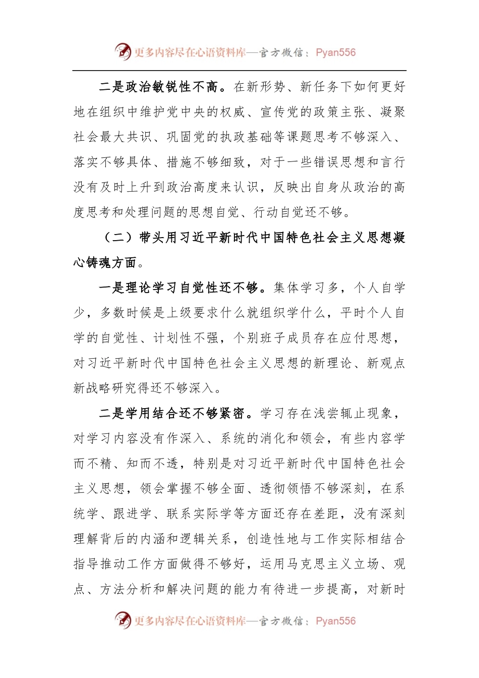 党员领导干部2022年度民主生活会对照检查材料.docx_第2页