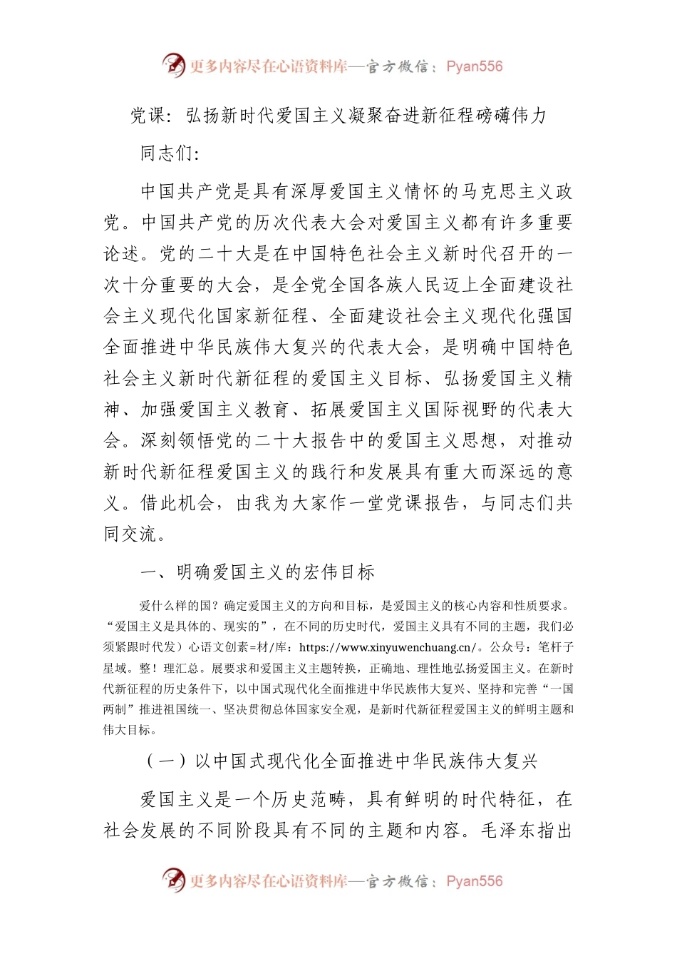 党课：弘扬新时代爱国主义 凝聚奋进新征程磅礴伟力.docx_第1页