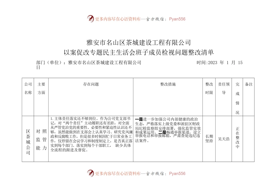 公司以案促改专题民主生活会班子成员检视问题整改清单整改台账.docx_第1页
