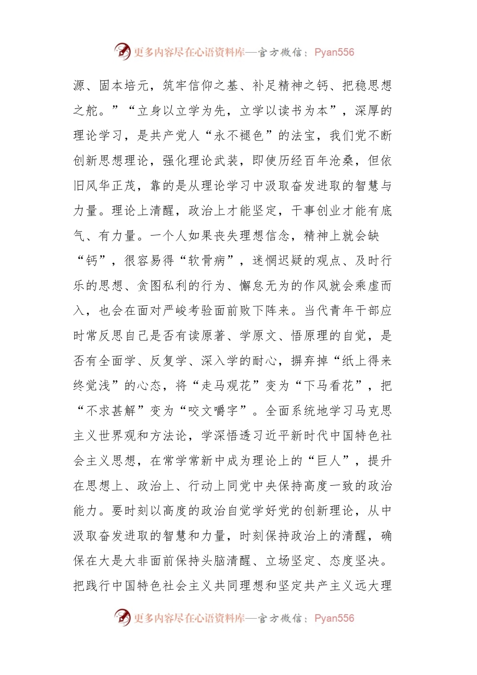 党员干部在第二批主题教育的心得体会研讨交流发言.docx_第2页