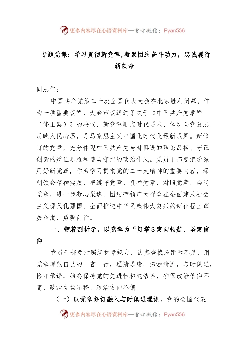 党课：学习贯彻新党章 凝聚团结奋斗动力 忠诚履行新使命..docx_第1页