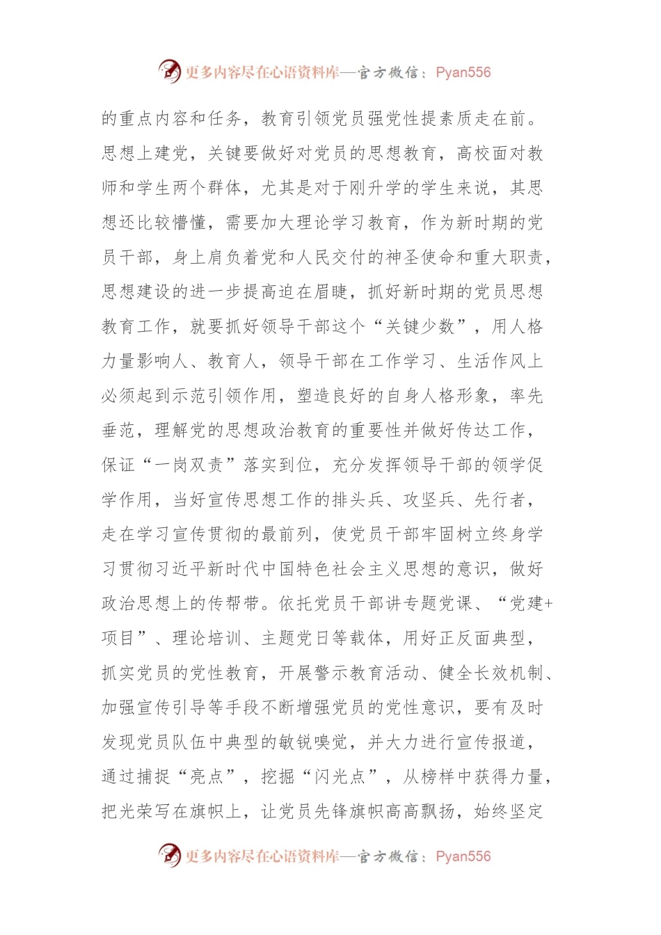 党课：以严实标准要求抓好党员队伍建设.docx_第2页