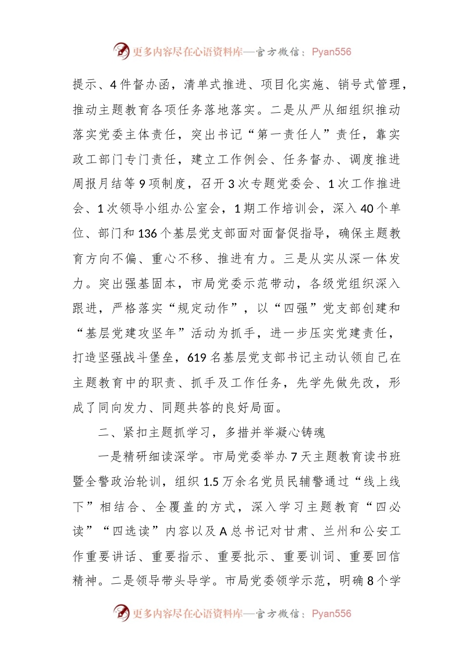 公安系统主题教育经验分享会上的交流发言.docx_第2页