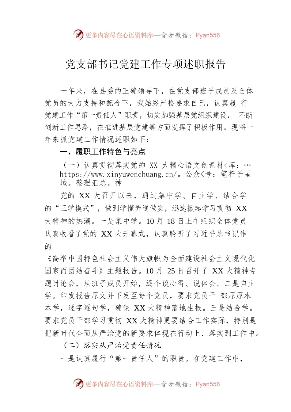 党支部书记党建工作专项述职报告.docx_第1页