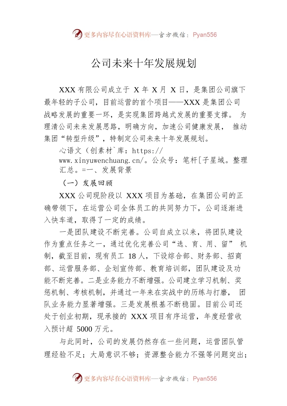公司未来十年发展规划.docx_第1页