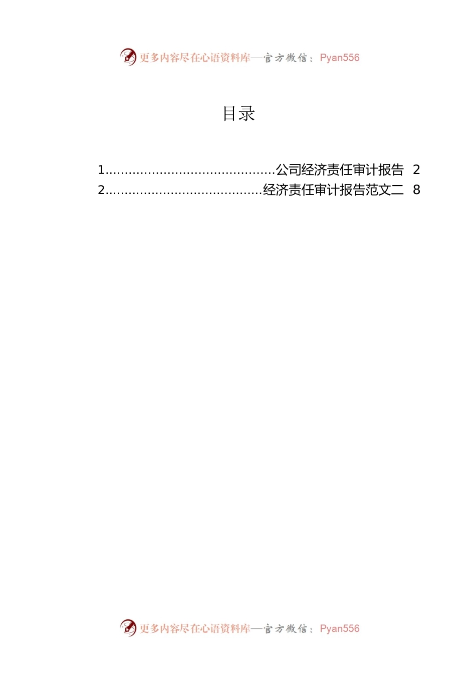 公司经济责任审计报告.docx_第1页
