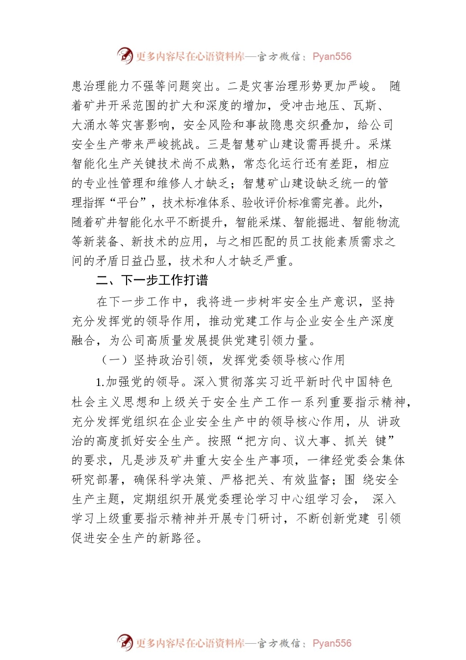 党建引领全面打造安全高效示范矿井.docx_第2页