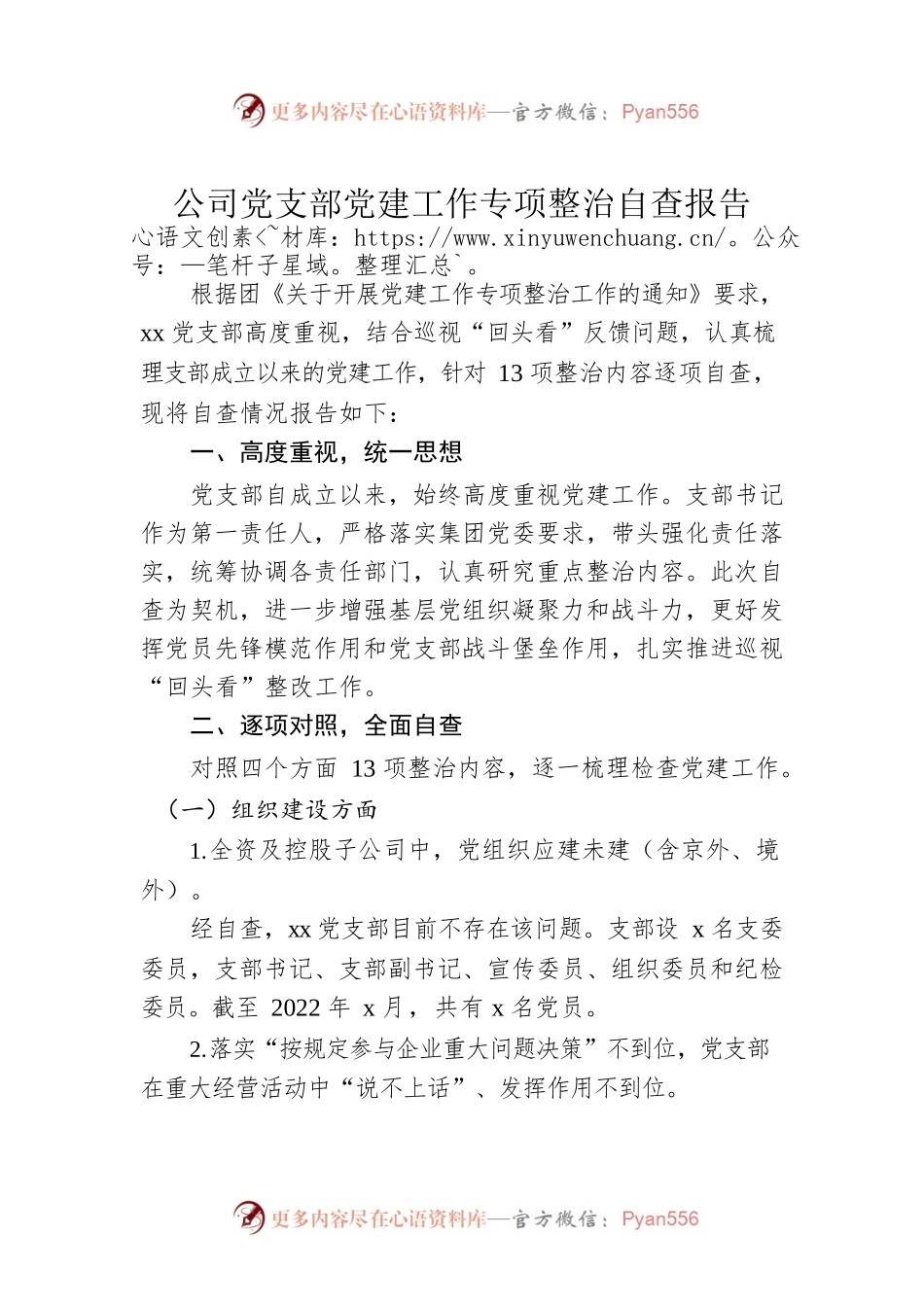 公司党支部党建工作专项整治自查报告.docx_第1页