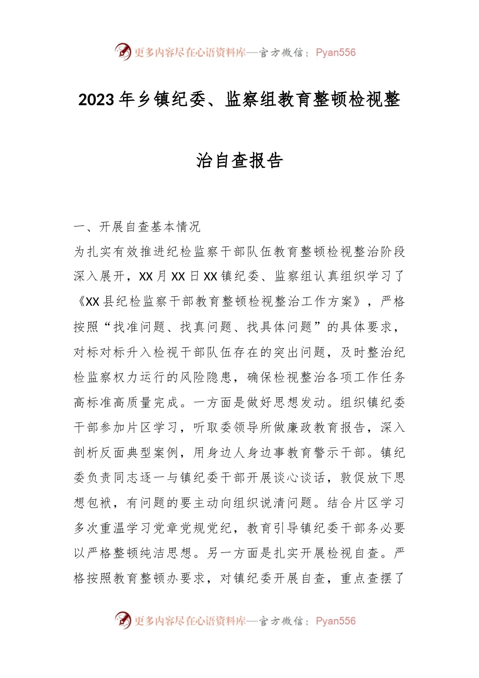 关于2023年乡镇纪委、监察组教育整顿检视整治自查报告.docx_第1页