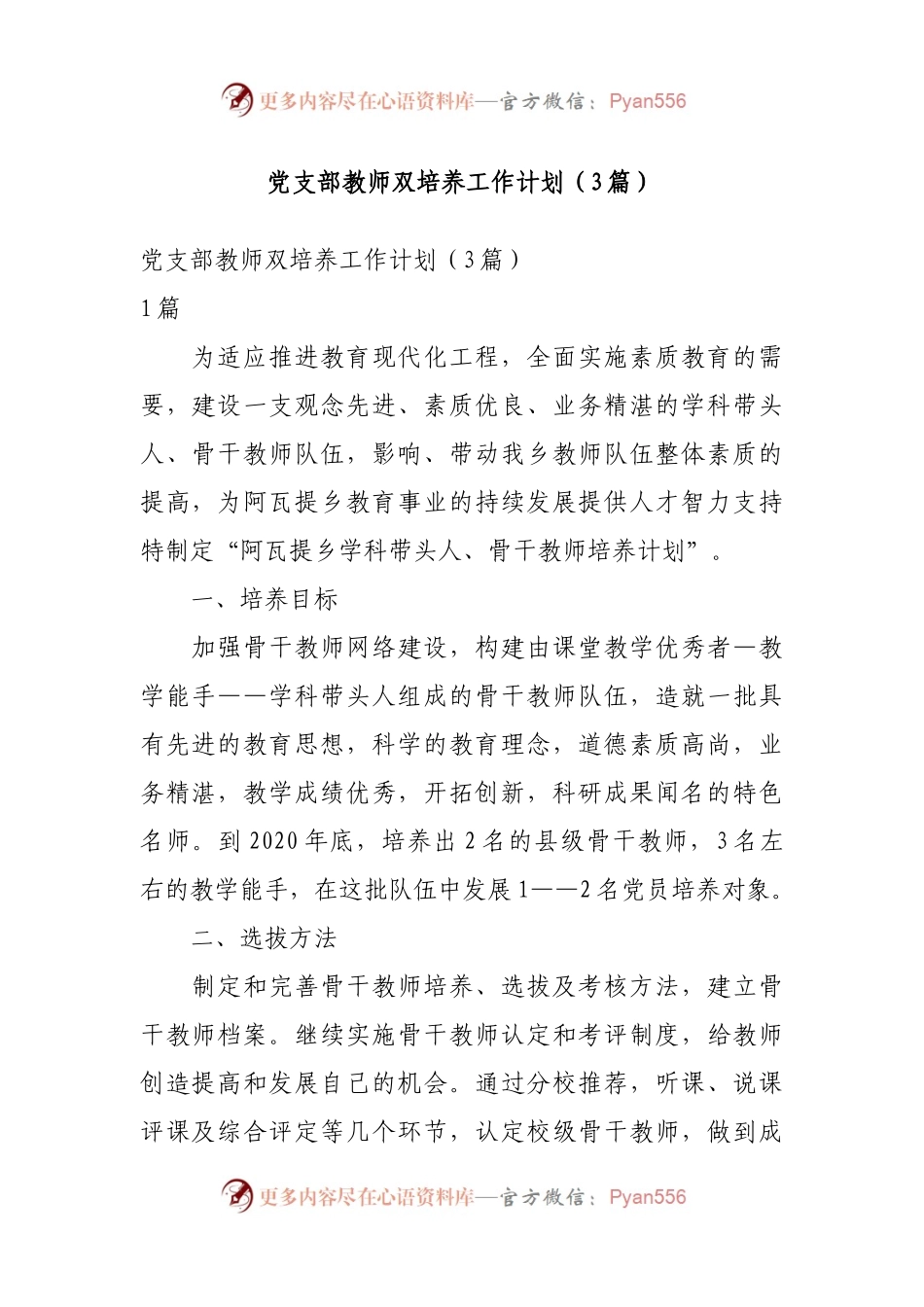 党支部教师双培养工作计划（3篇）.docx_第1页