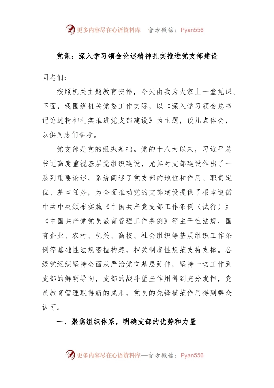 党课：深入学习领会论述精神扎实推进党支部建设.docx_第1页