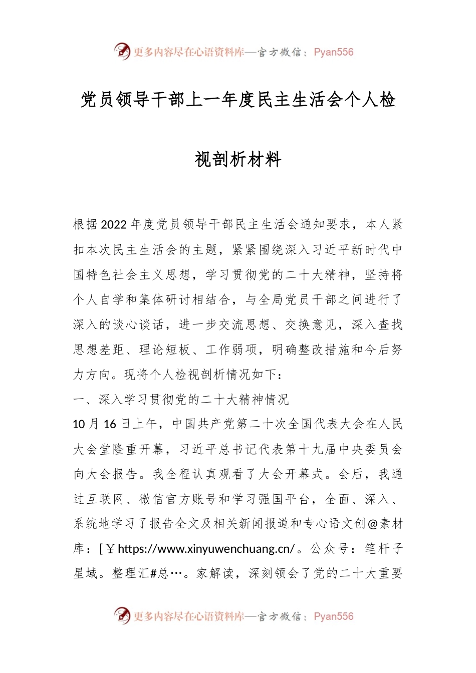 党员领导干部上一年度民主生活会个人检视剖析材料.docx_第1页