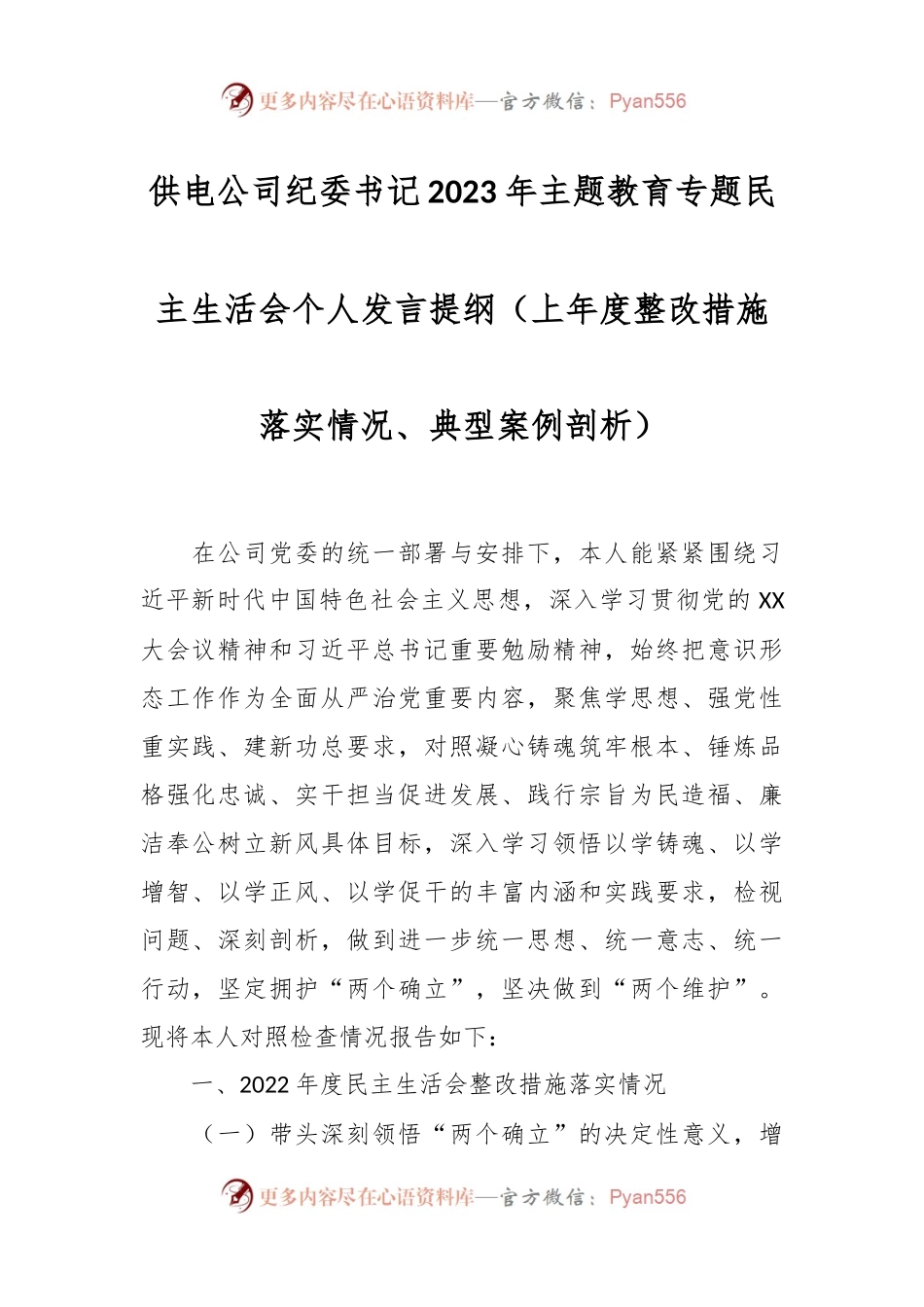 供电公司纪委书记2023年主题教育专题民主生活会个人发言稿提纲（上年度整改措施落实情况、典型案例剖析）.docx_第1页