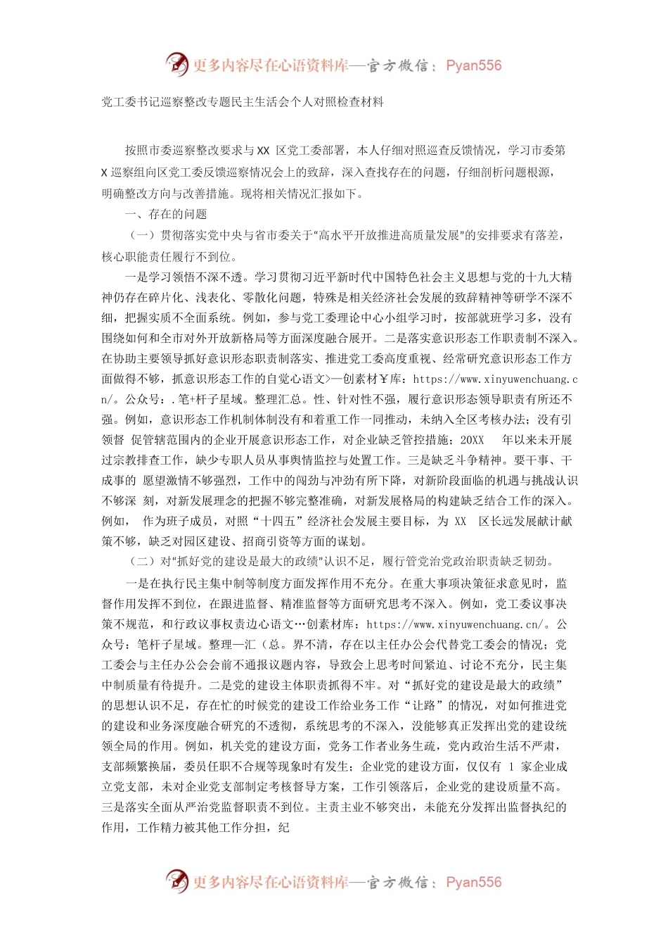 党工委书记巡察整改专题民主生活会个人对照检查材料.docx_第1页