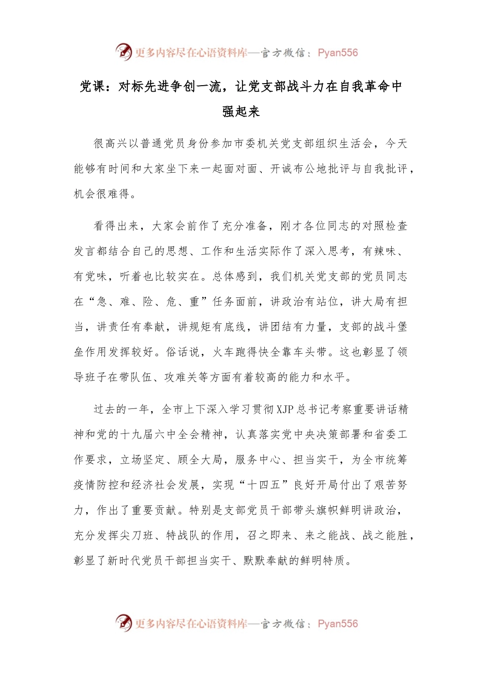 党课：对标先进争创一流，让党支部战斗力在自我革命中强起来.docx_第1页