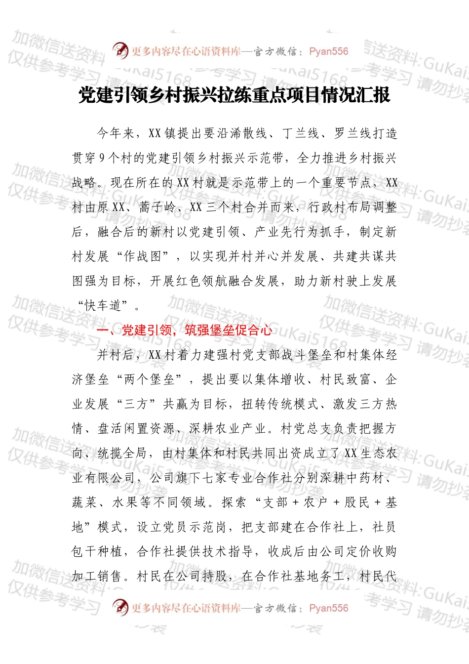 党建引领乡村振兴拉练重点项目情况汇报.docx_第1页
