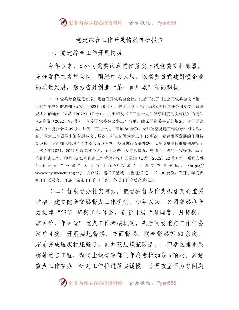 党建综合工作开展情况自检报告（公司）.docx_第1页