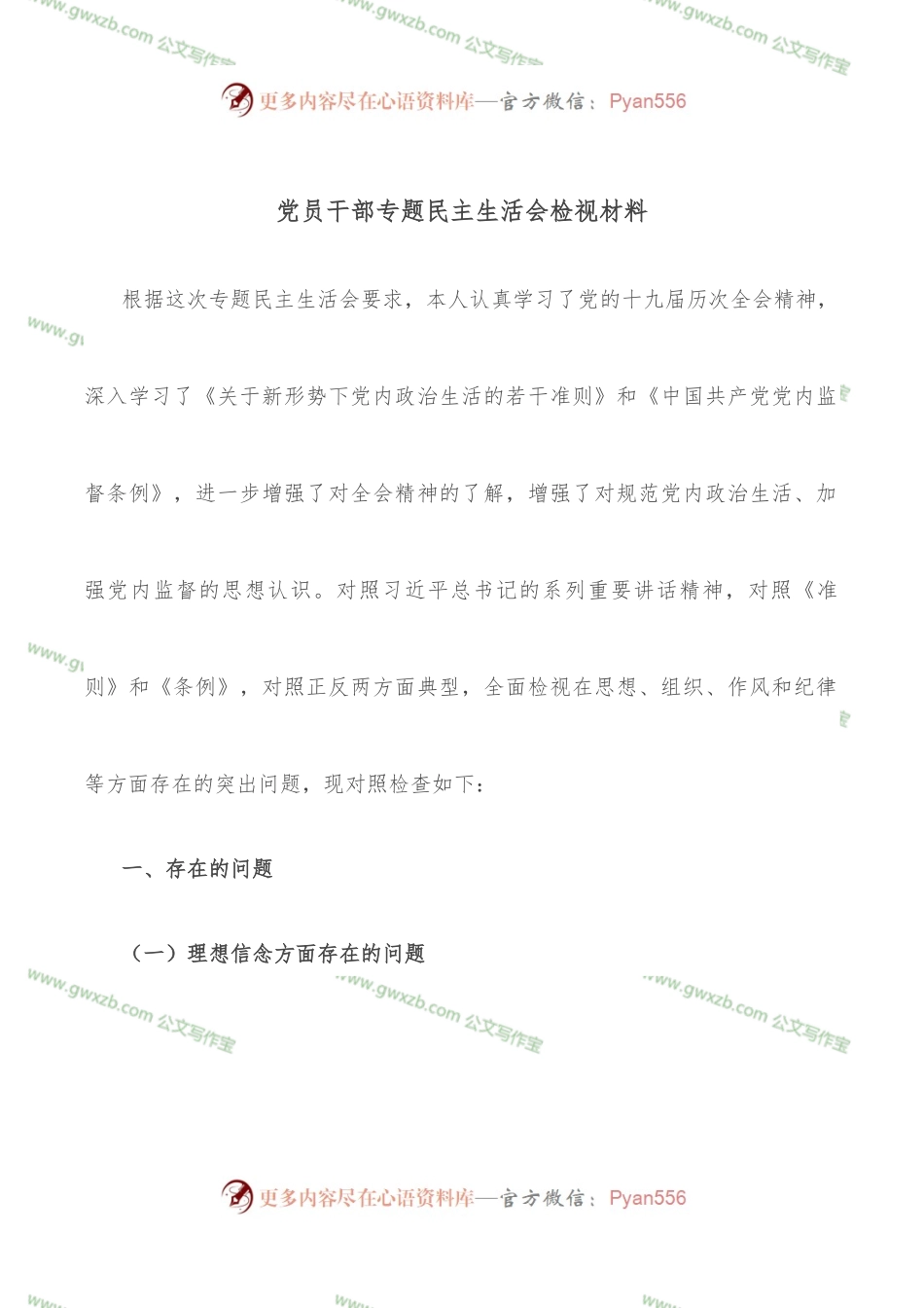 党员干部专题民主生活会检视材料.docx_第1页