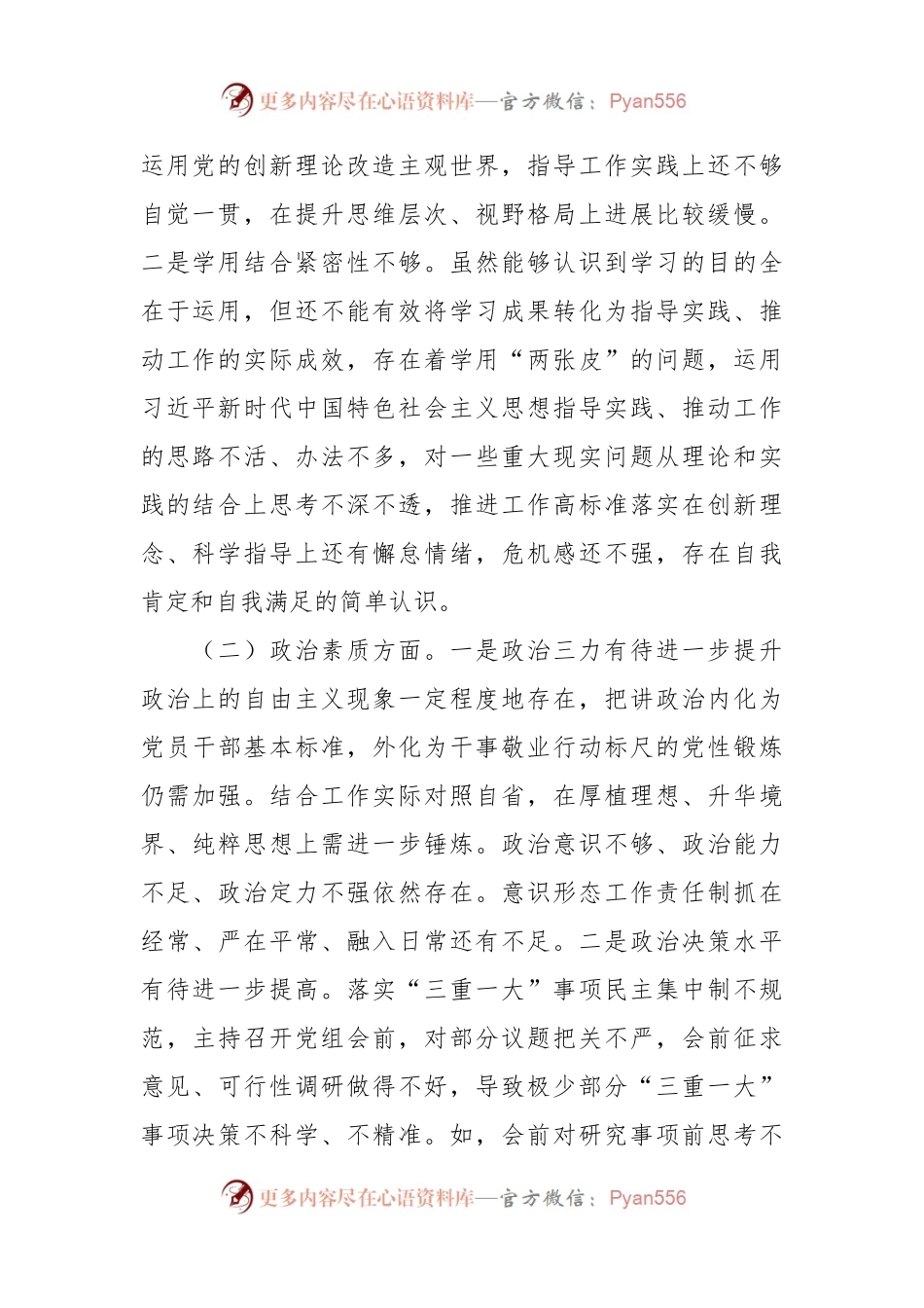 党组书记主题教育专题民主生活会个人对照检查发言稿提纲.docx_第2页