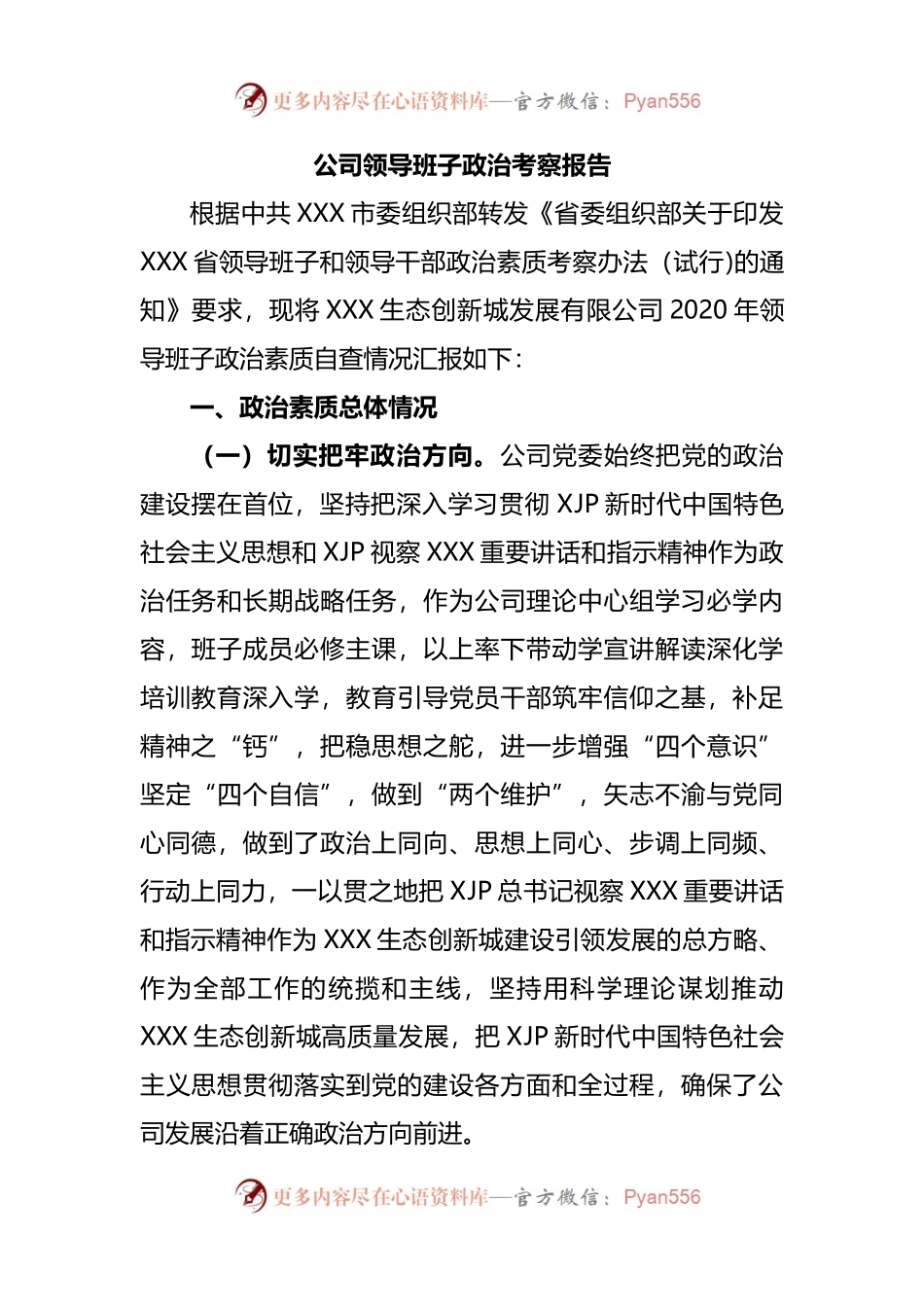 公司领导班子政治考察报告.docx_第1页