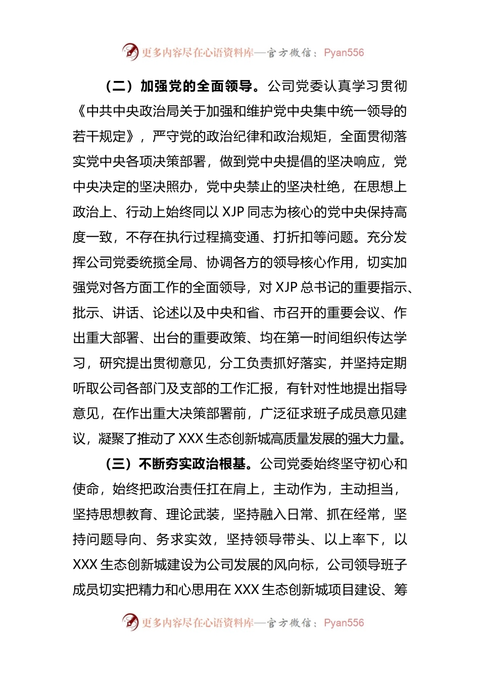 公司领导班子政治考察报告.docx_第2页