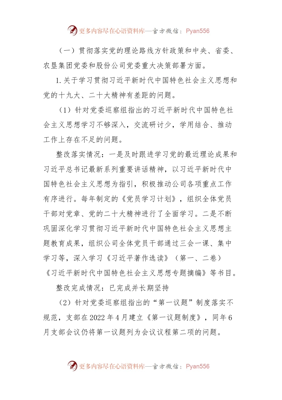 公司党支部关于某公司党委巡察反馈意见整改落实“回头看”自查情况汇报.docx_第2页