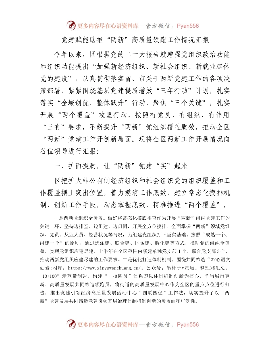 党建赋能助推“两新”高质量领跑工作情况汇报.docx_第1页