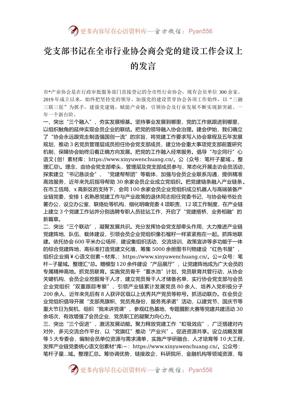 党支部书记在全市行业协会商会党的建设工作会议上的发言.docx_第1页