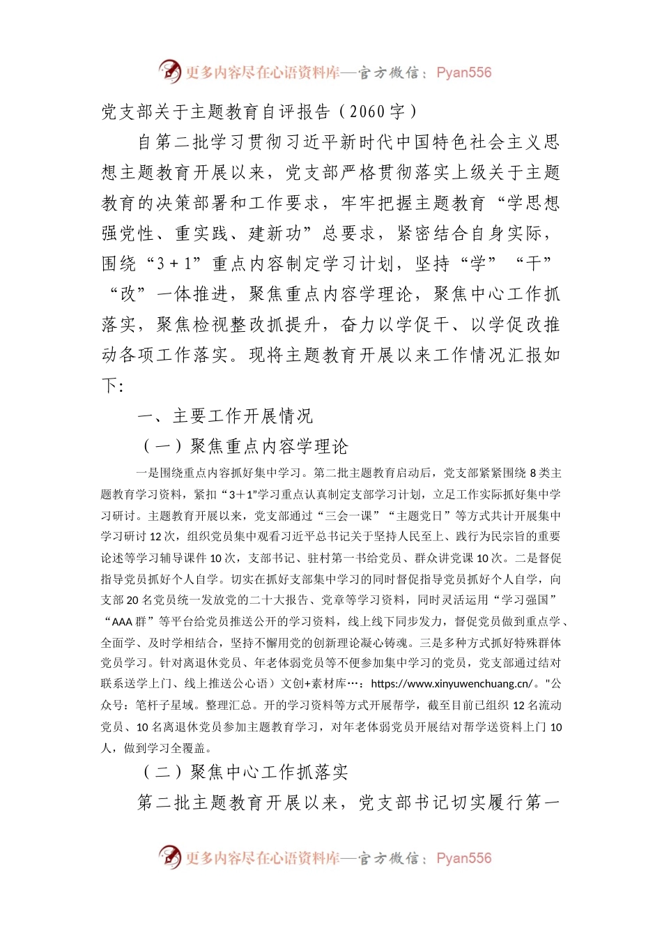 党支部关于主题教育自评报告.docx_第1页