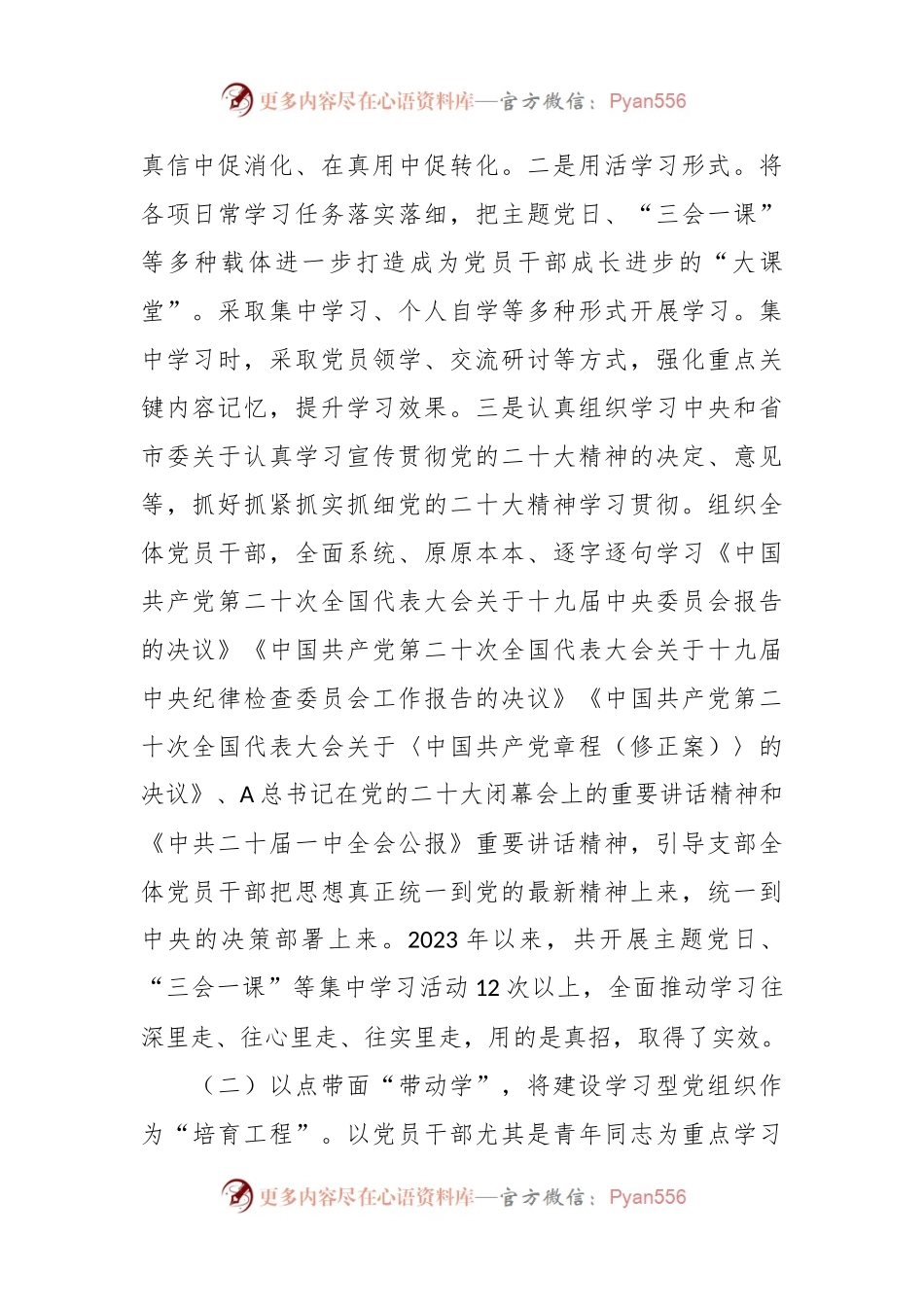 党支部书记抓基层党建工作述职报告.docx_第2页