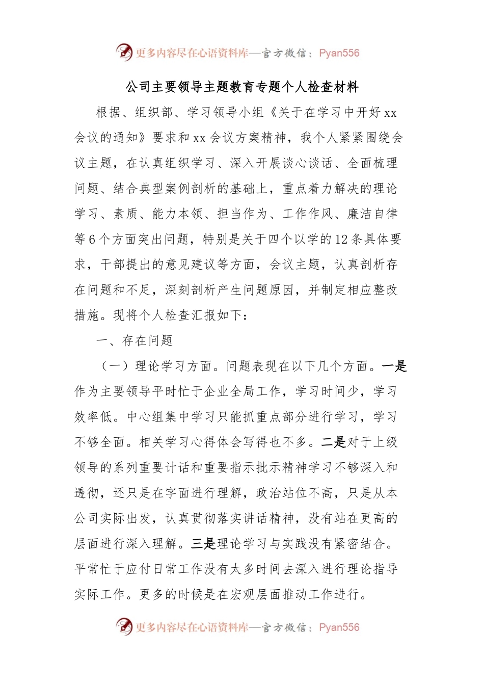 公司主要领导主题教育专题个人检查材料.docx_第1页