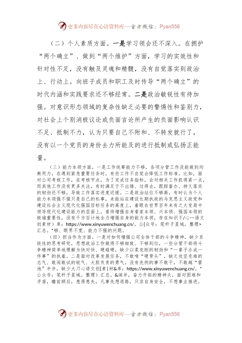 公司主要领导主题教育专题个人检查材料.docx_第2页