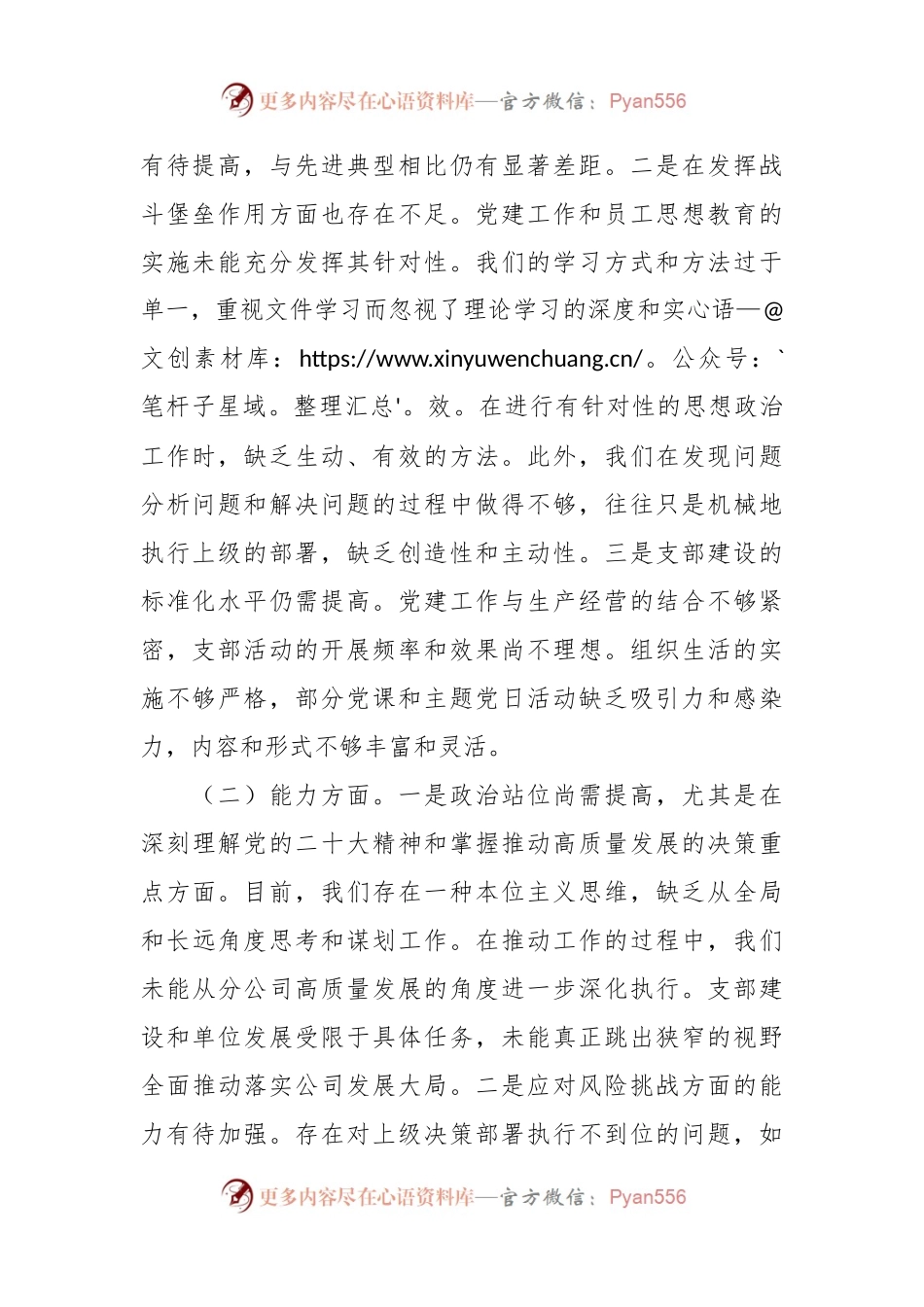 党支部班子2023年主题教育组织生活会对照检查（政治、能力、思想、作风、纪律五个方面）.docx_第2页