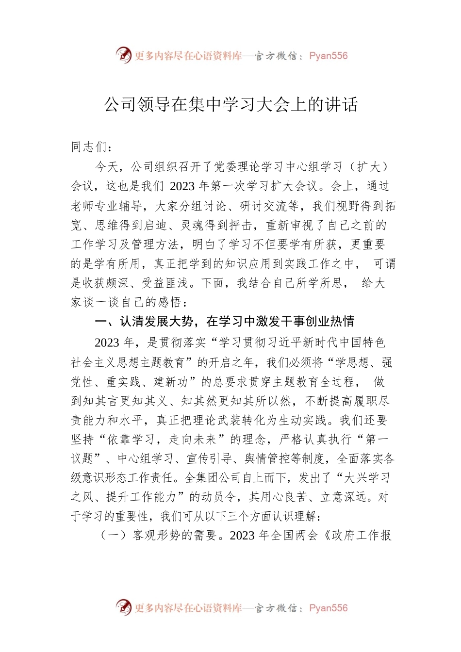 公司领导在集中学习大会上的讲话.docx_第1页