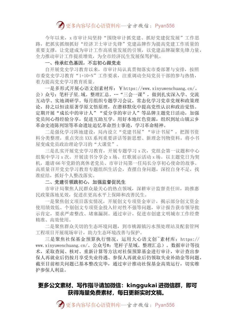 党建品牌创建工作材料：着力建设“经济卫士审计先锋”党建品牌（市审计局）.docx_第1页