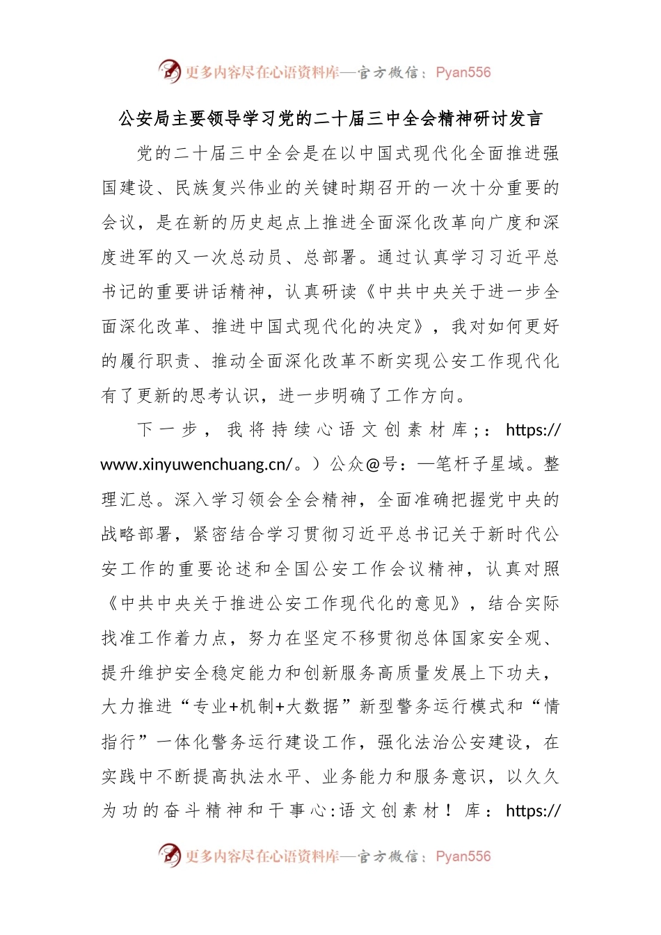 公安局主要领导学习党的二十届三中全会精神研讨发言.docx_第1页