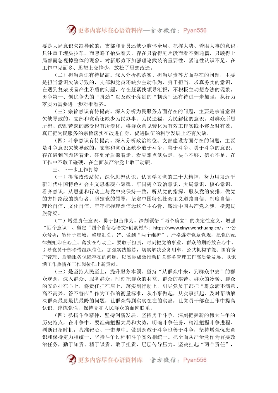 党支部2022年度组织生活会班子对照检查2700字.docx_第2页