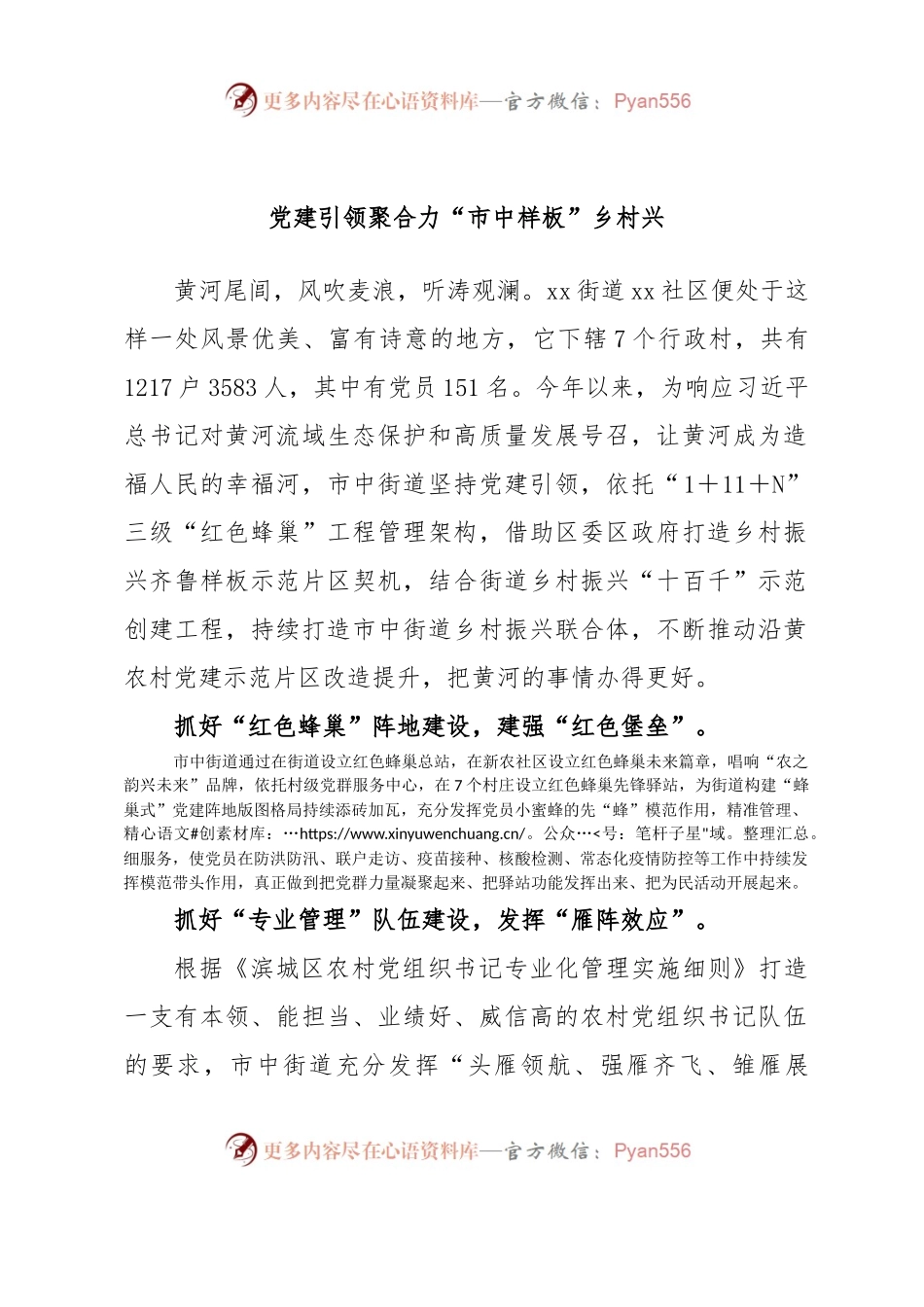 党建引领聚合力“市中样板”乡村兴.docx_第1页