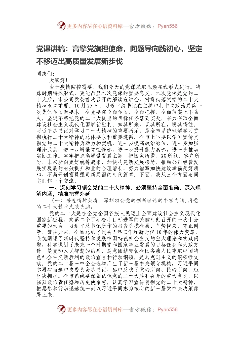 党课讲稿：高擎党旗担使命，问题导向践初心，坚定不移迈出高质量发展新步伐.docx_第1页