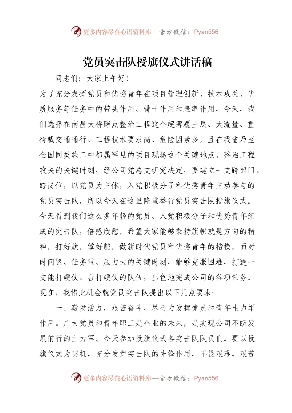 党员突击队授旗仪式讲话稿.docx_第1页