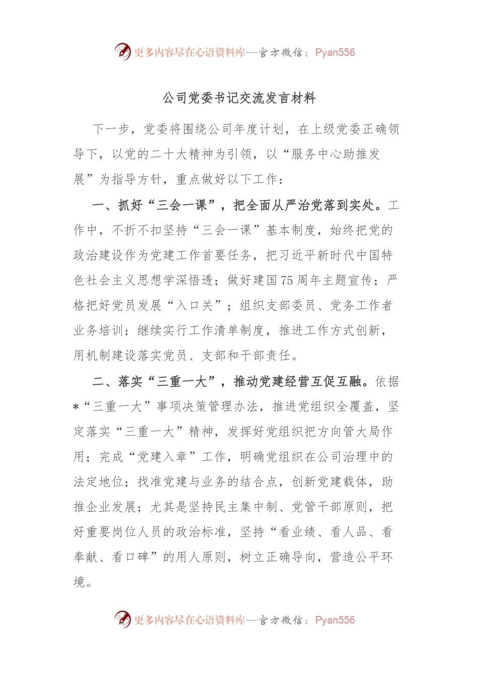 公司党委书记交流发言材料.docx_第1页