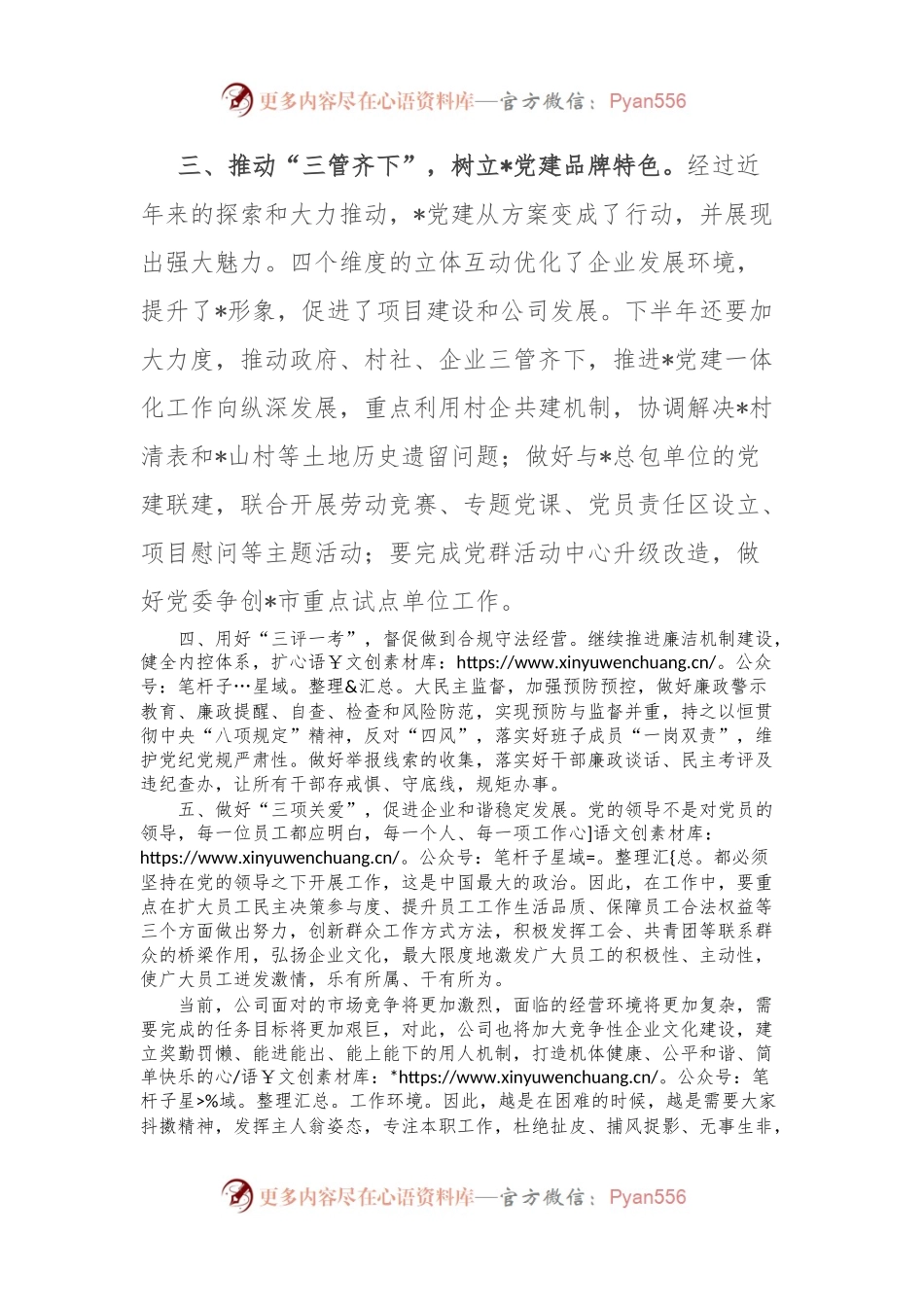 公司党委书记交流发言材料.docx_第2页