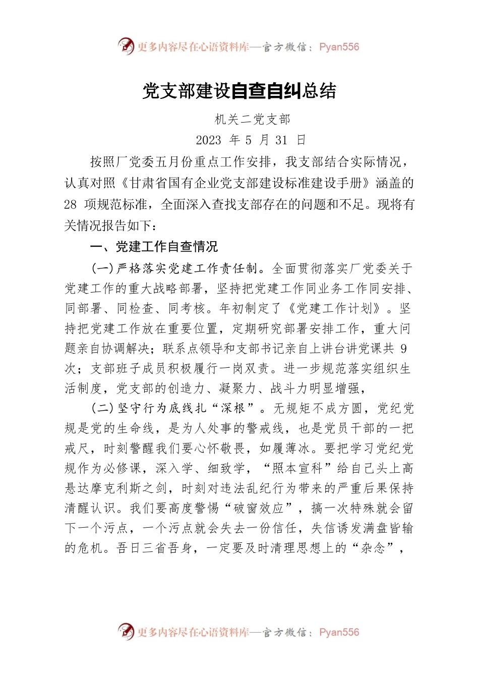 党支部建设自查自纠总结.docx_第1页