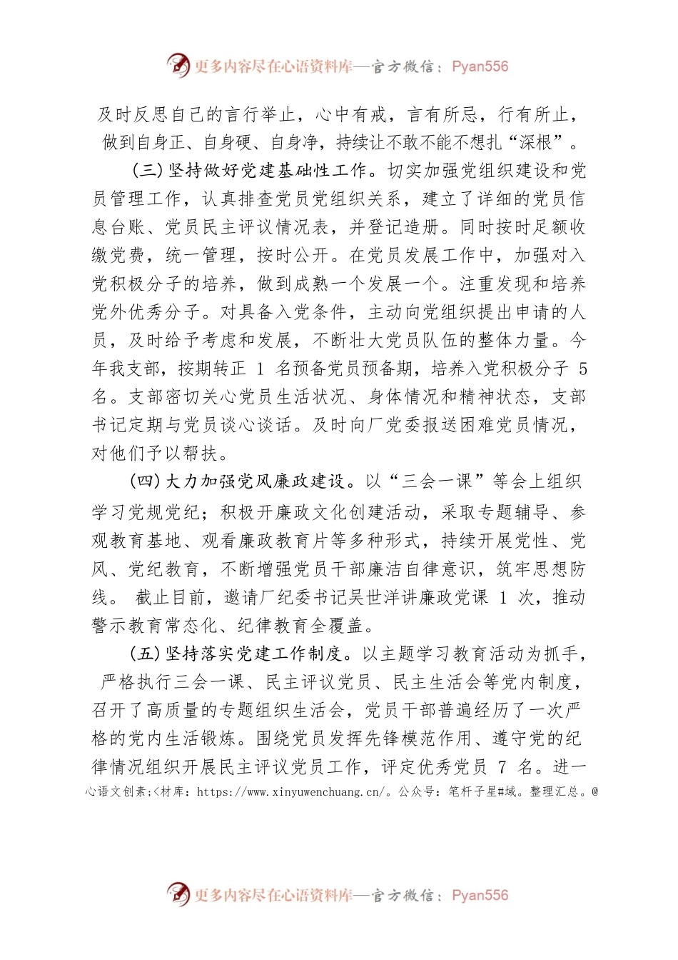 党支部建设自查自纠总结.docx_第2页