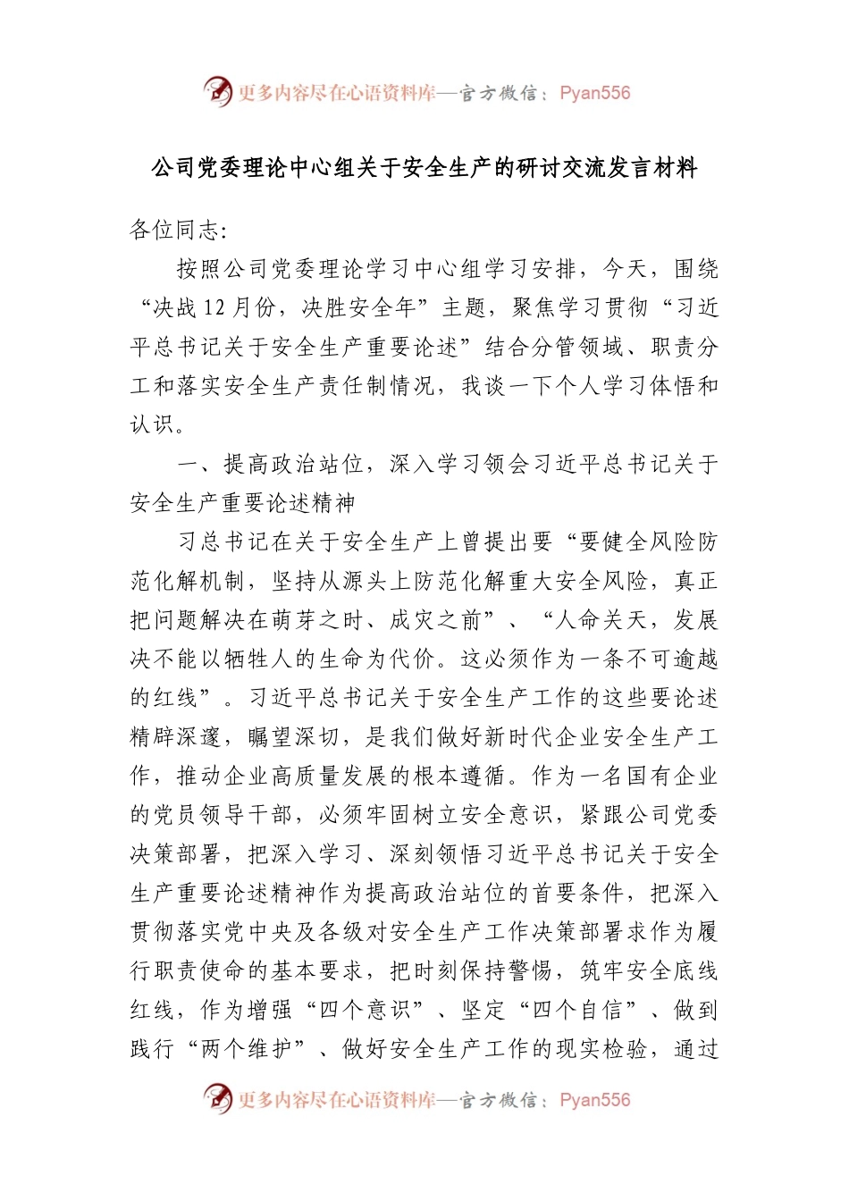 公司党委理论中心组关于安全生产的研讨交流发言材料.docx_第1页