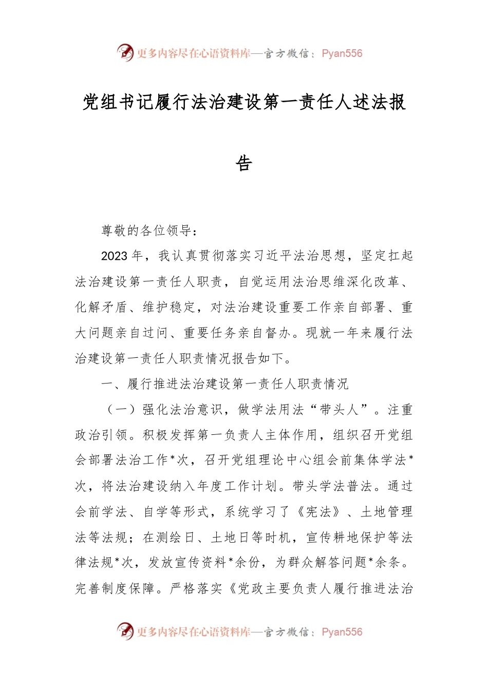 党组书记履行法治建设第一责任人述法报告.docx_第1页