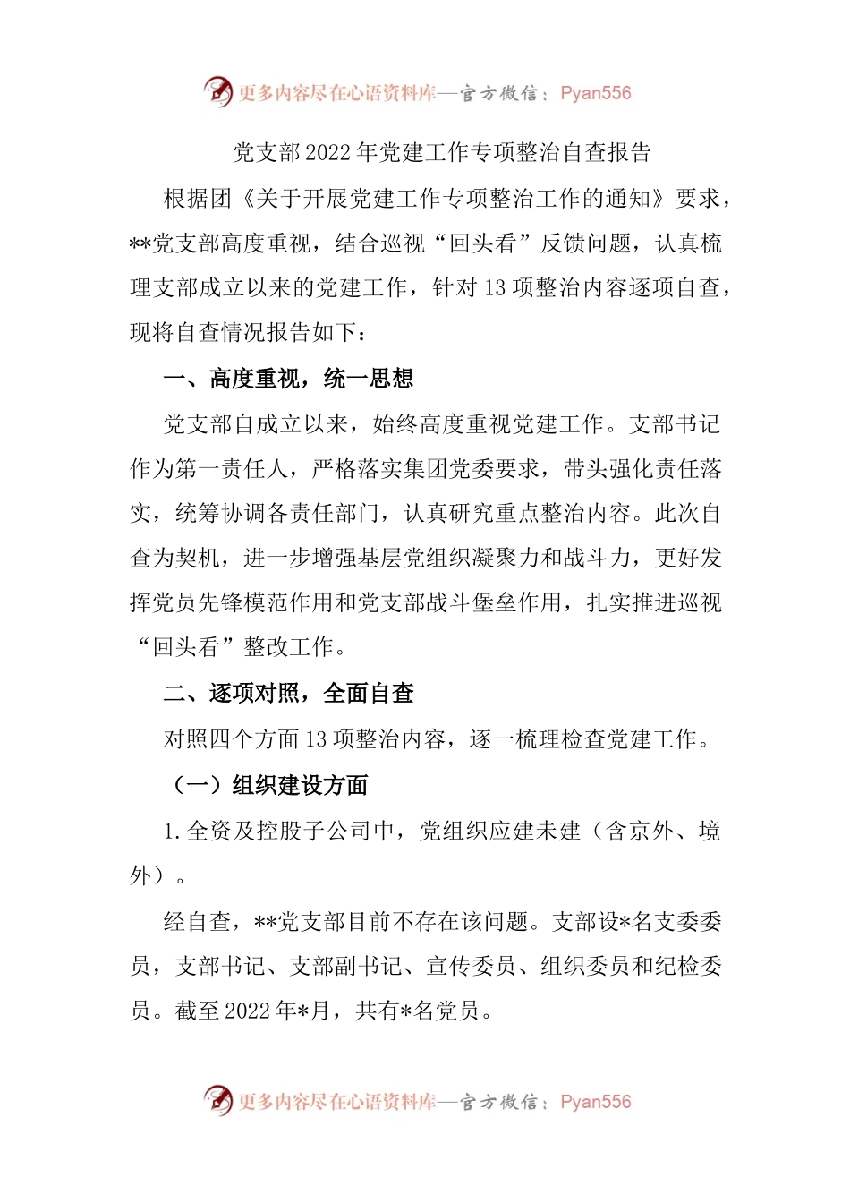 党支部2022年党建工作专项整治自查报告.docx_第1页